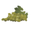 white grapes